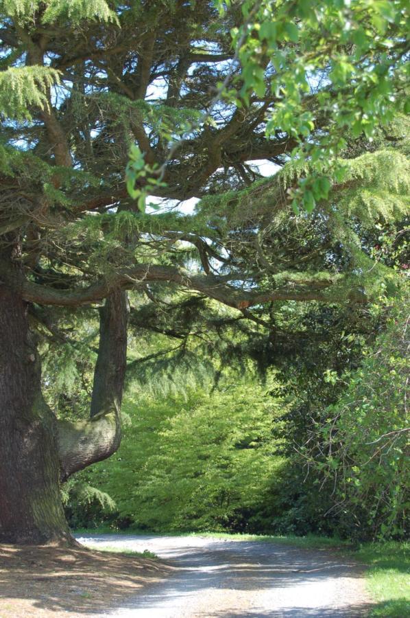 داونباتريك Ballydugan Country House المظهر الخارجي الصورة