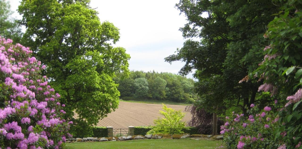 داونباتريك Ballydugan Country House المظهر الخارجي الصورة
