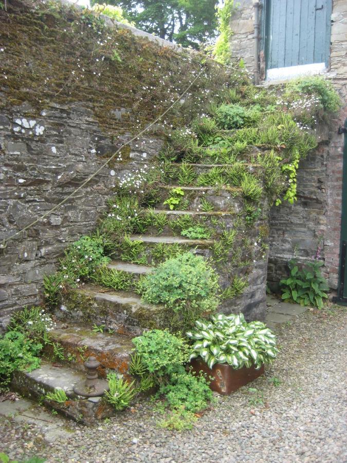 داونباتريك Ballydugan Country House المظهر الخارجي الصورة