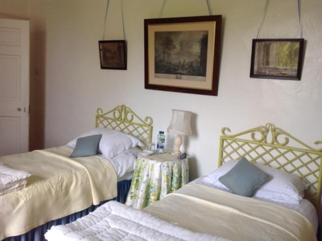 داونباتريك Ballydugan Country House المظهر الخارجي الصورة